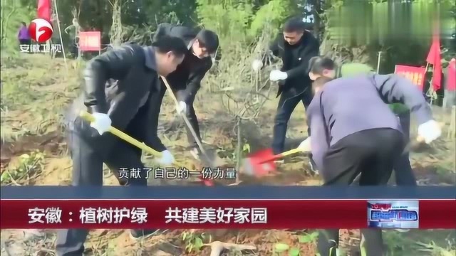 安徽:植树护绿 共建美好家园