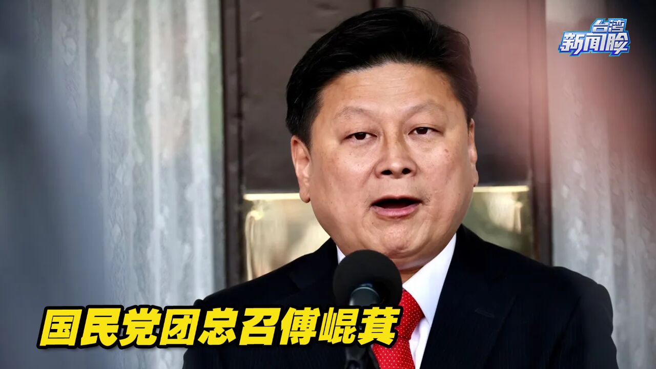 接任国民党团总召的他,究竟何许人也?