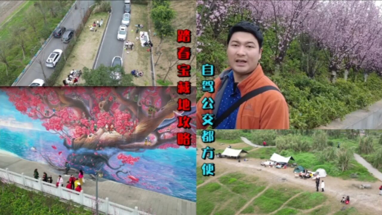 重庆南岸踏春新玩法解锁,野餐露营宝藏地,自驾公交都方便!