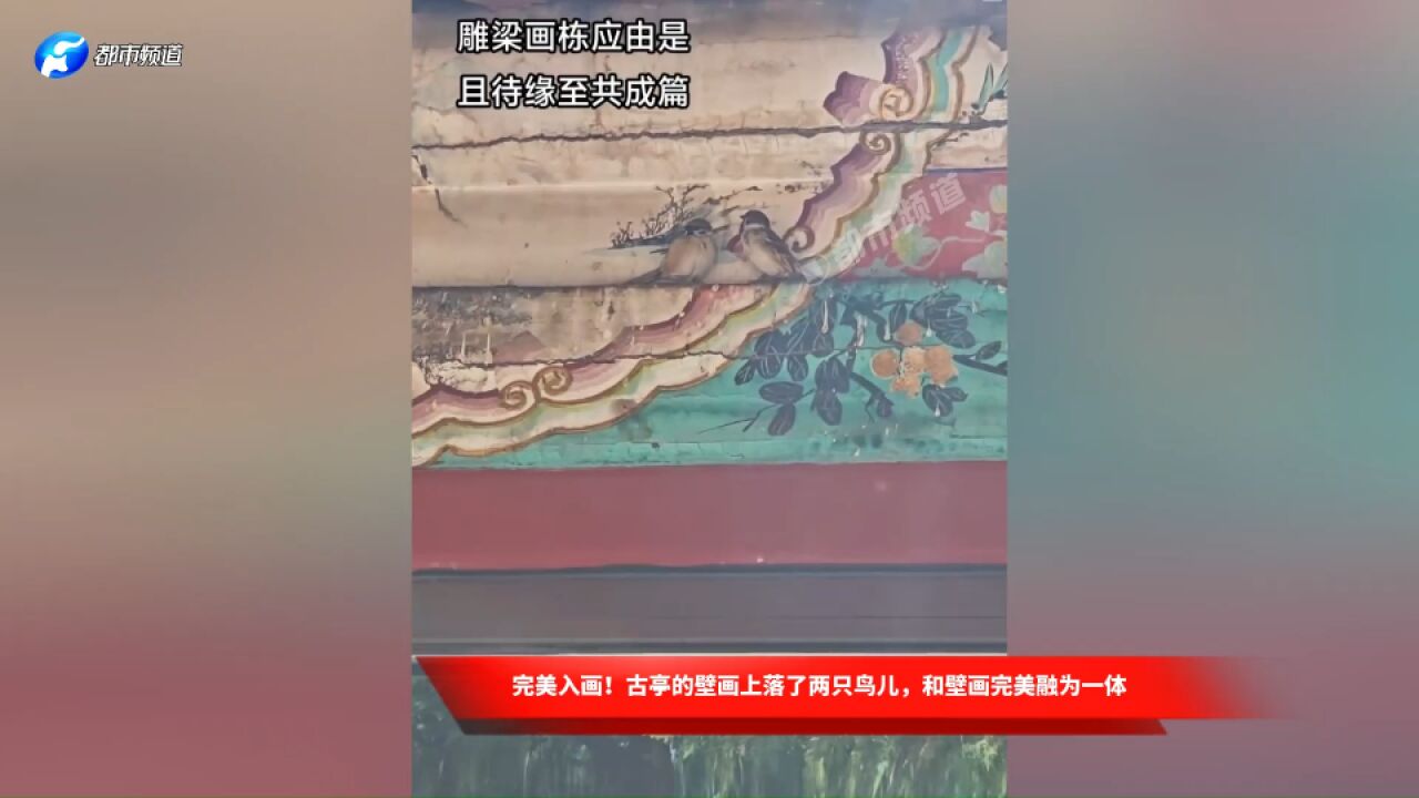 完美入画!古亭的壁画上落了两只鸟儿,和壁画完美融为一体