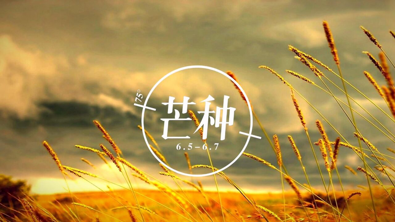 【二十四节气】芒种,夏季的第三个节气,农业耕种最忙的时节