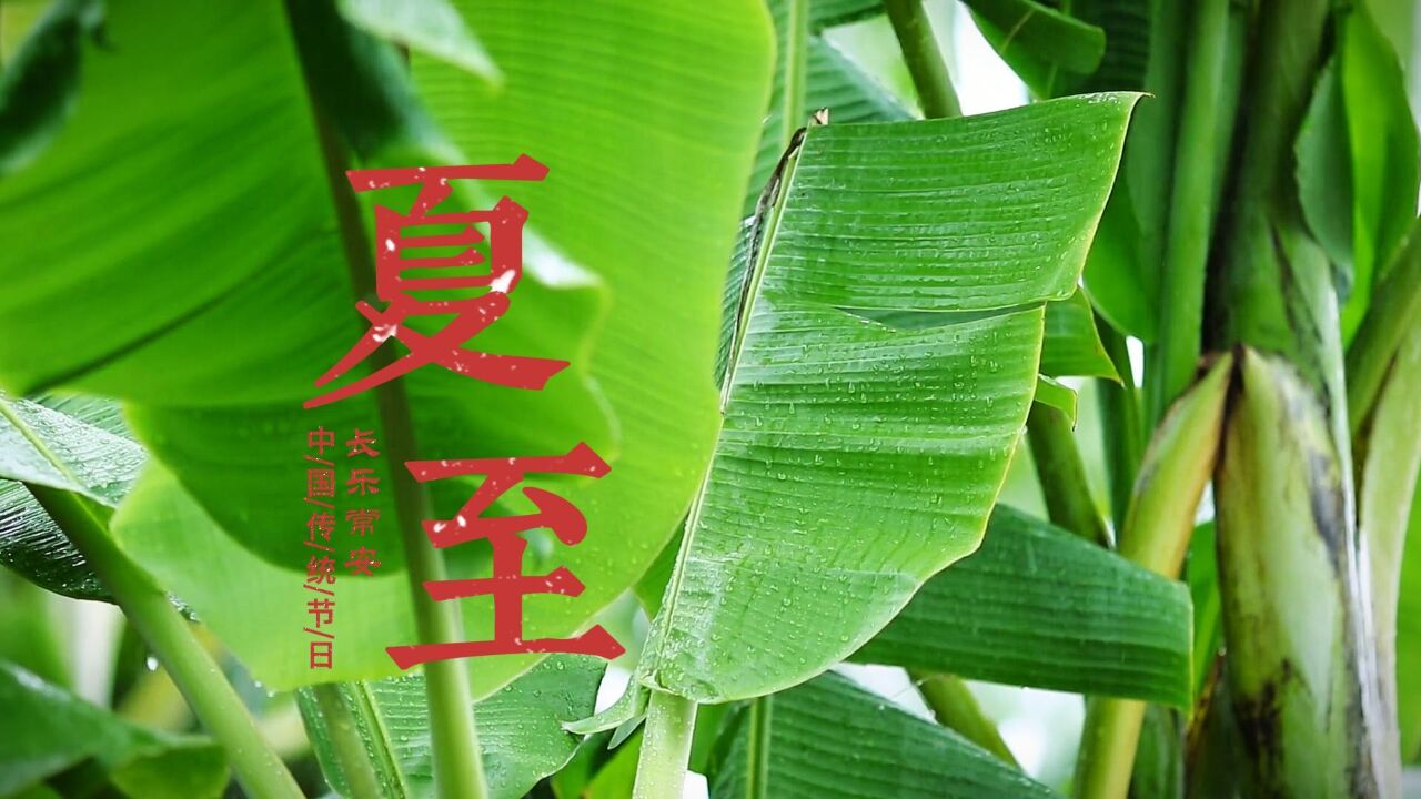 【二十四节气】夏至,第一个被确立的节气,也是古代重要的节日