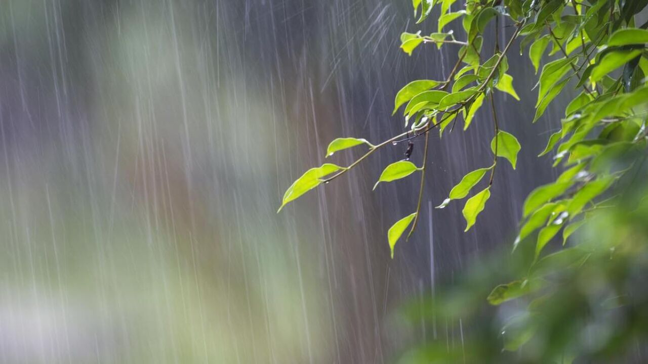 “夏至无雨三伏热,夏至雨点值千金”,是啥预兆?夏至下雨为何如此重要?