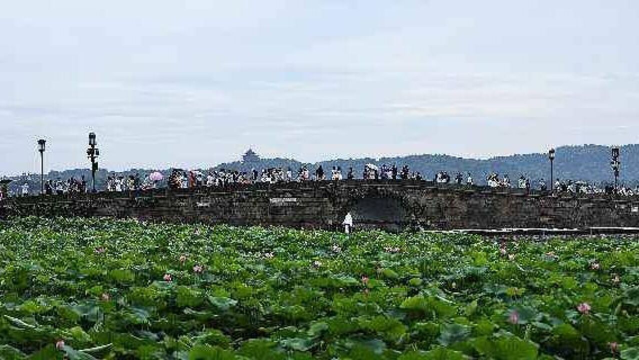 雨水按下“暂停键” 杭城将迎来“蒸桑拿”模式