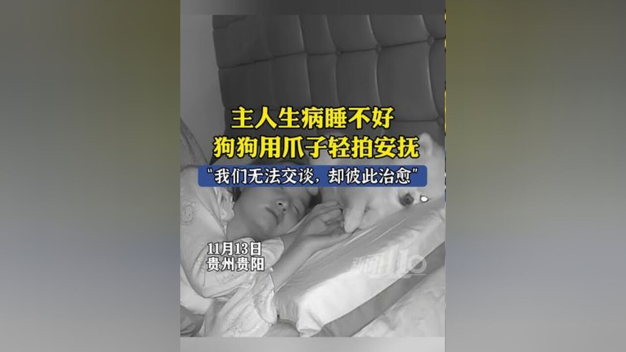 主人生病睡不好,狗狗用爪子轻拍安抚.主人:我们无法交谈,却每天都在彼此治愈.