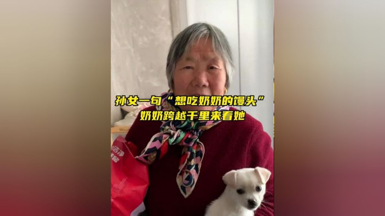 孙女压力大向老家的奶奶打电话哭诉,无意间的一句想吃奶奶蒸得馒头,奶奶直接带着一大袋馒头坐2天客车来到孙女面前...