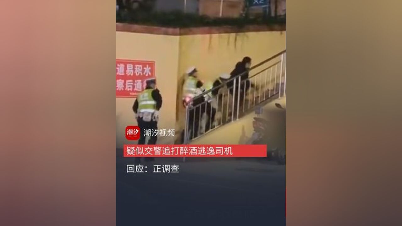 成都一交警用警棍击打 疑似醉酒逃逸司机? 回应:正调查,不方便透露太多