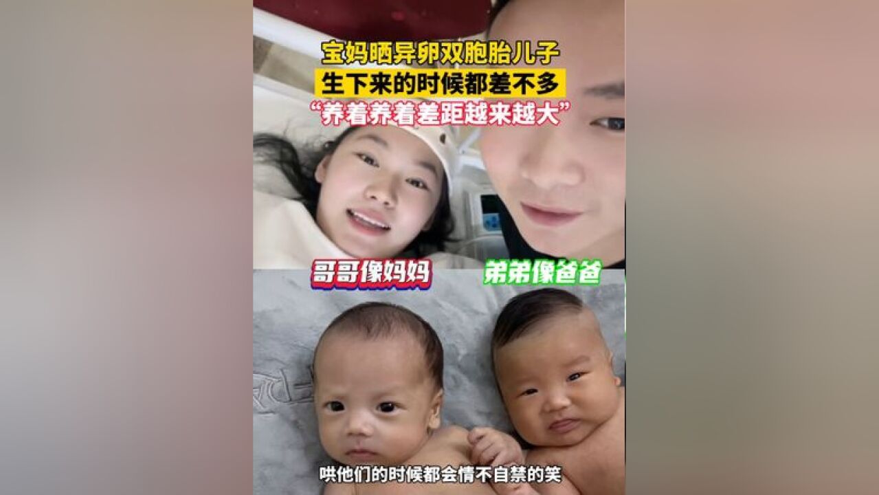 宝妈晒异卵双胞胎儿子,生下来的时候都差不多,养着养着差距越来越大