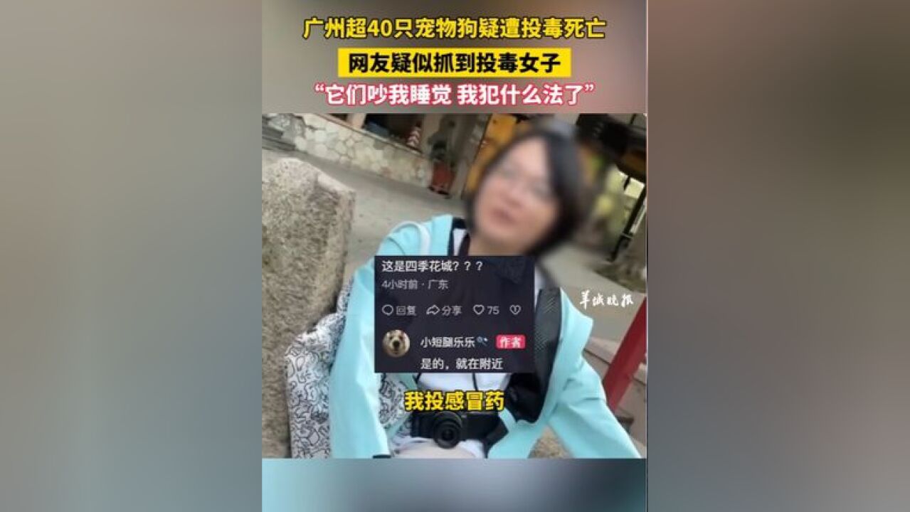 广州超40只宠物狗疑遭投毒死亡,网友疑似抓到投毒女子,“它们吵我睡觉 我犯什么法了”