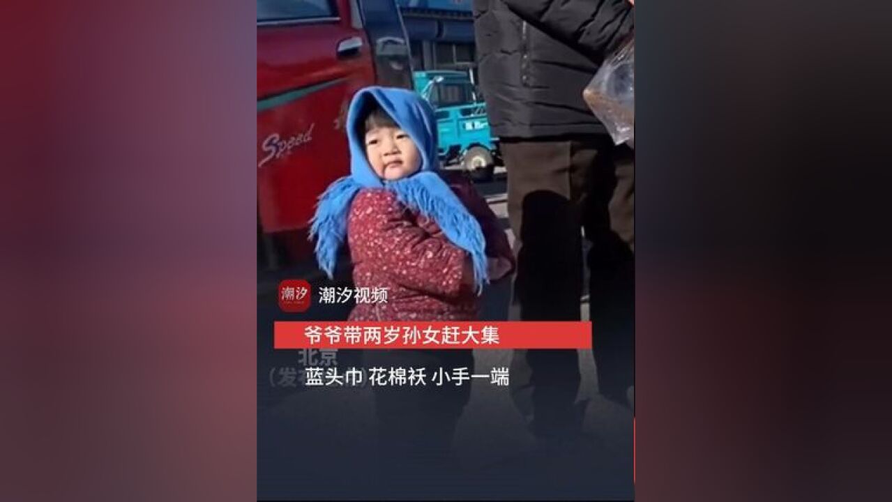 爷爷带两岁孙女赶大集 蓝头巾 花棉袄 小手一端 网友:过了2岁就不要穿得像孩子了