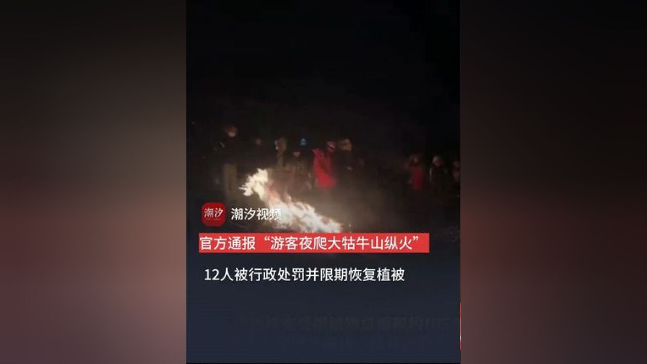 官方通报“游客夜爬大牯牛山纵火”,受损植物总面积约165平方米,12人被行政处罚并限期恢复植被