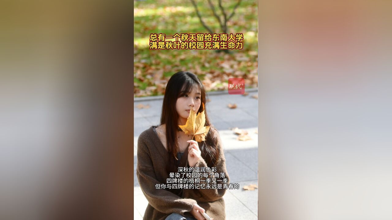 当油纸伞遇见梧桐叶,东南大学美到令人失语