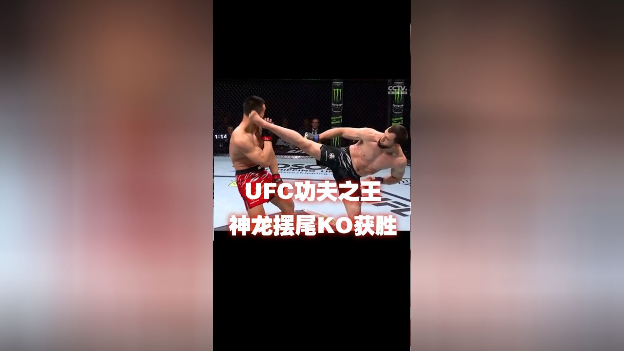 UFC功夫之王神龙摆尾KO获胜!