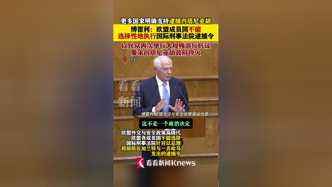 博雷利:欧盟成员国不能选择性地执行对以逮捕令