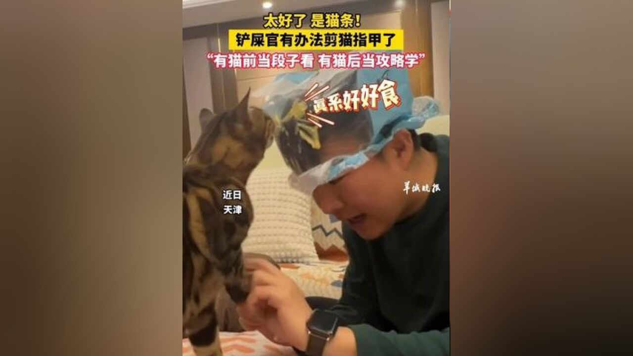 太好了 是猫条!铲屎官有办法剪猫指甲了,“有猫前当段子看 有猫后当攻略学”,来源养猫的应该都懂吧 我和我的猫