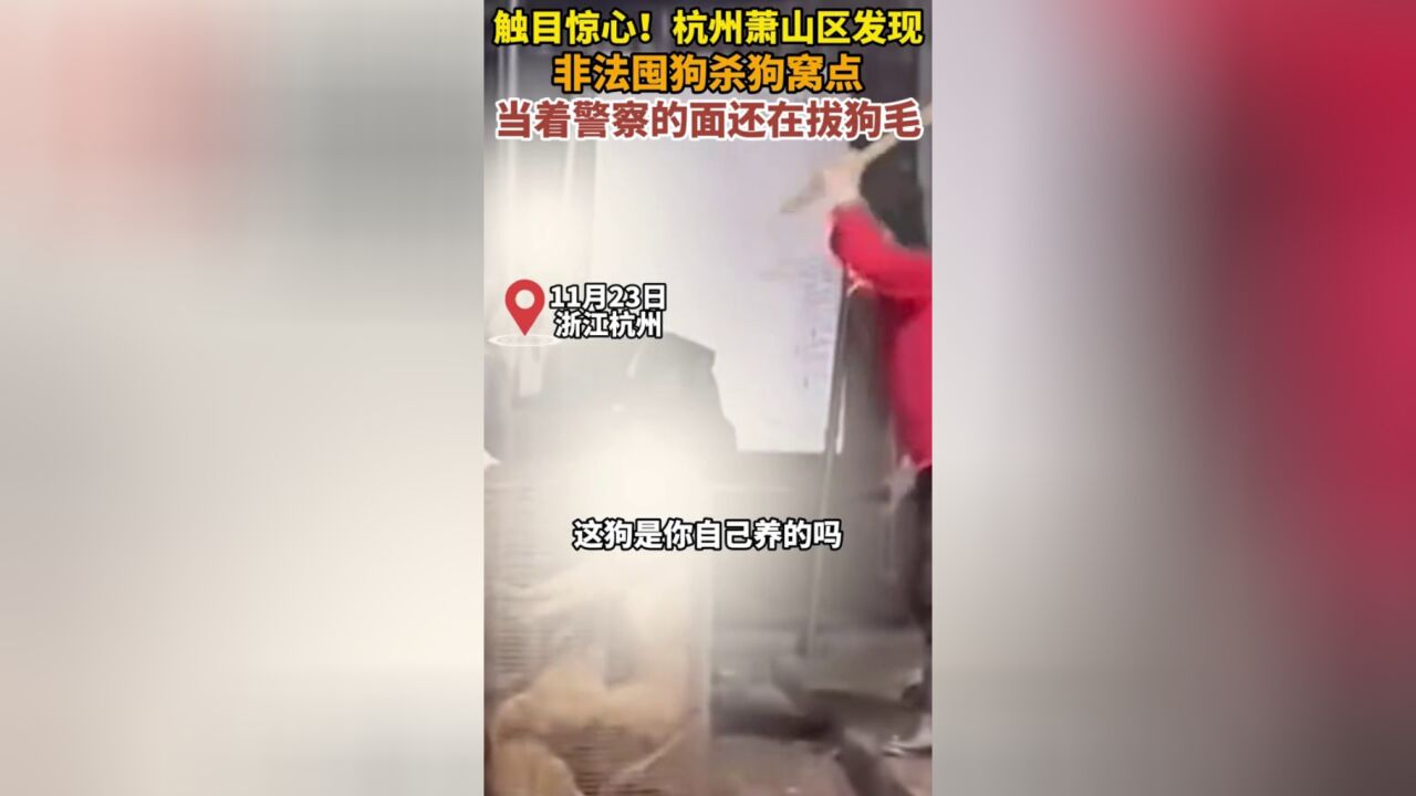 触目惊心!杭州萧山区发现非法囤狗杀狗窝点