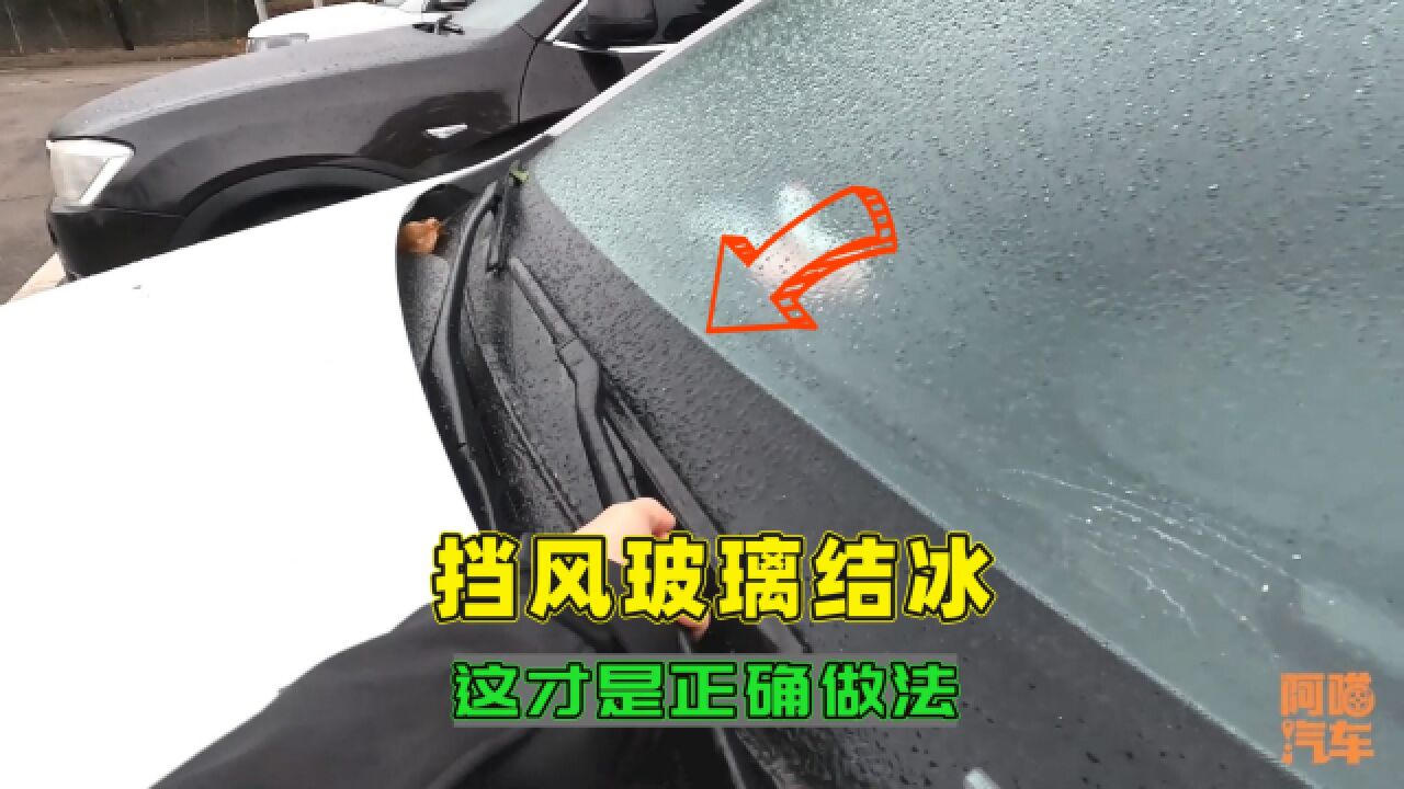 车子挡风玻璃结冰了咋办?喵哥教你正确处理,做错了容易搞坏车