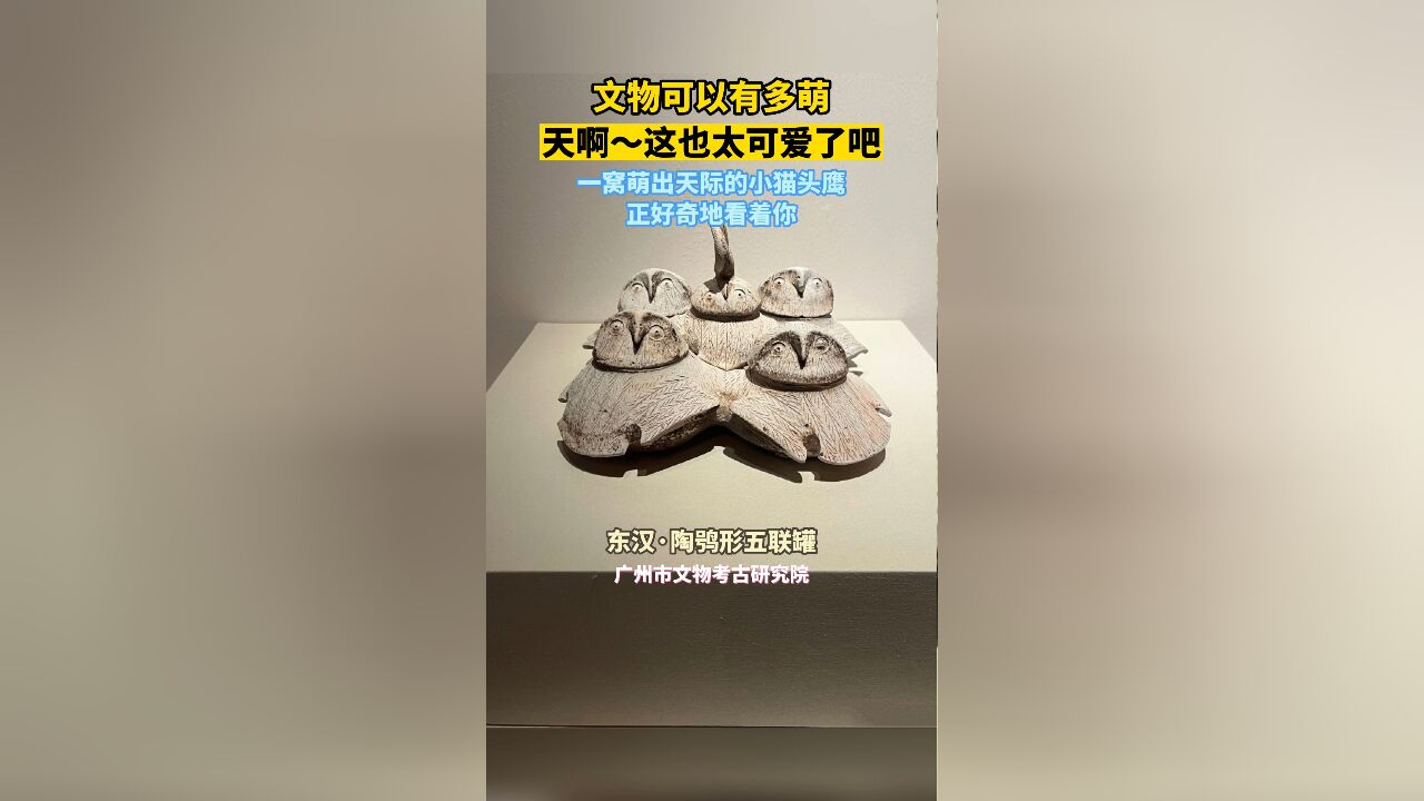 文物可以有多萌?你看,2000年前,一窝萌出天际的小猫头鹰……