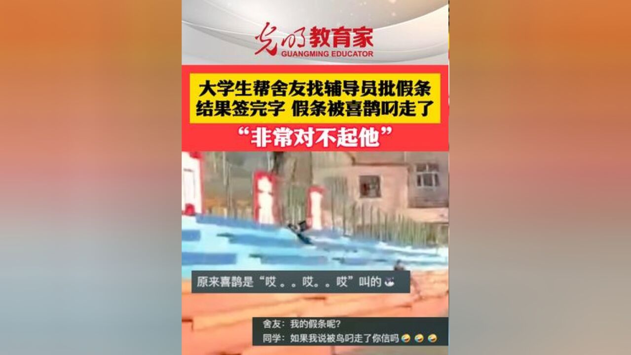 大学生帮舍友找辅导员批假条,没想到被喜鹊叼走了