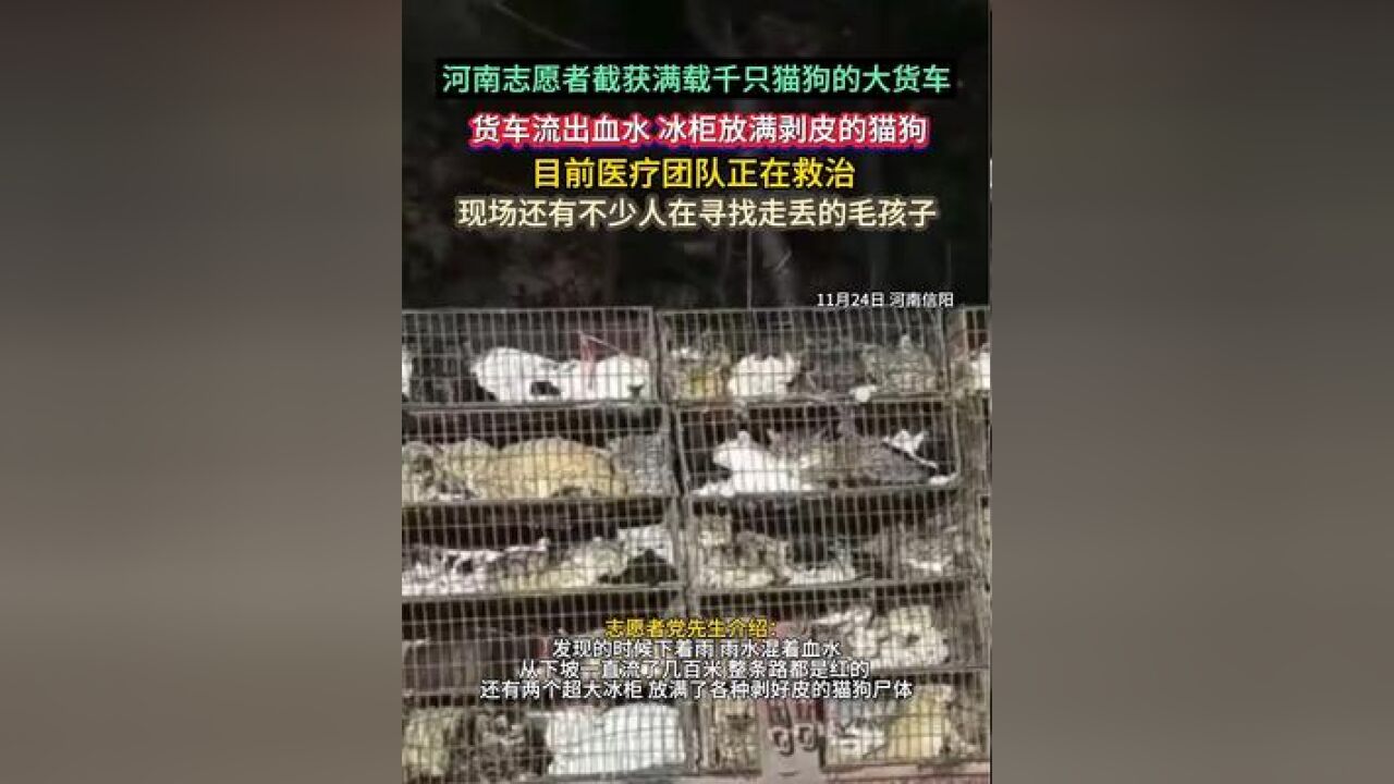 货车流出血水,冰柜里放满剥皮的猫狗尸体,目前,医疗团队正在救治,现场还有不少人在寻找走丢的毛孩子