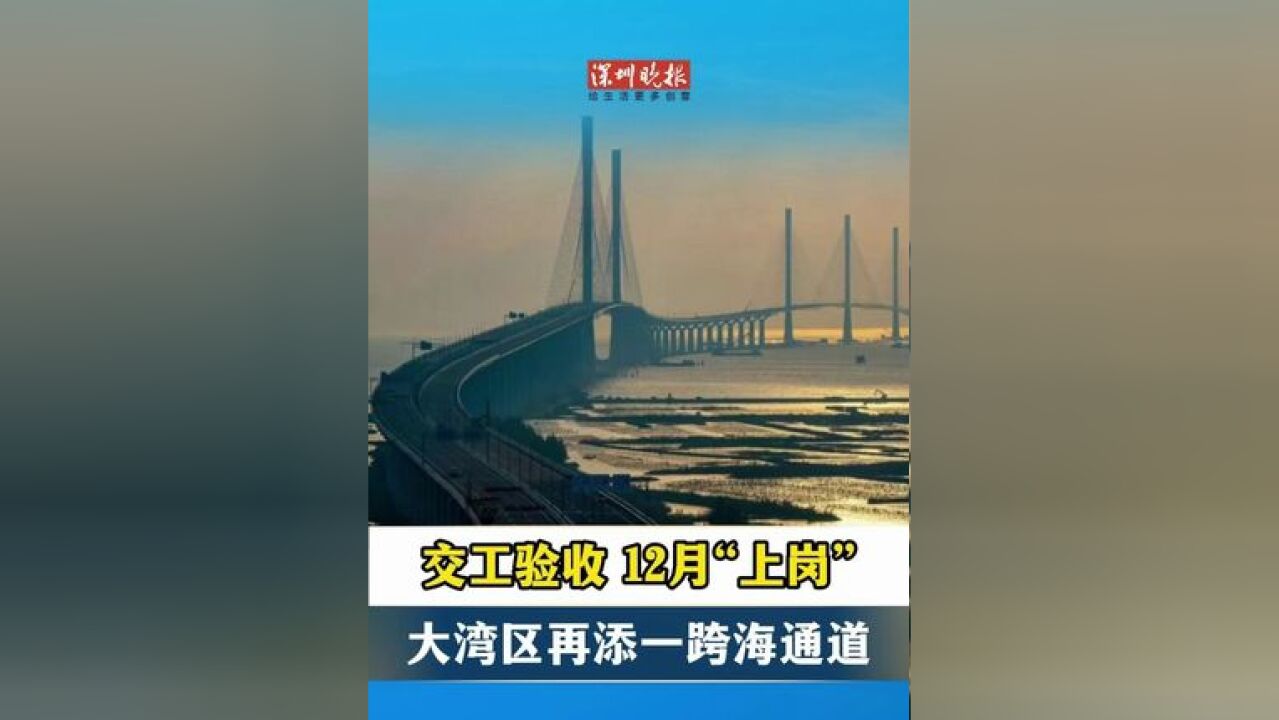 交工验收!12月“上岗” 大湾区再添一跨海通道