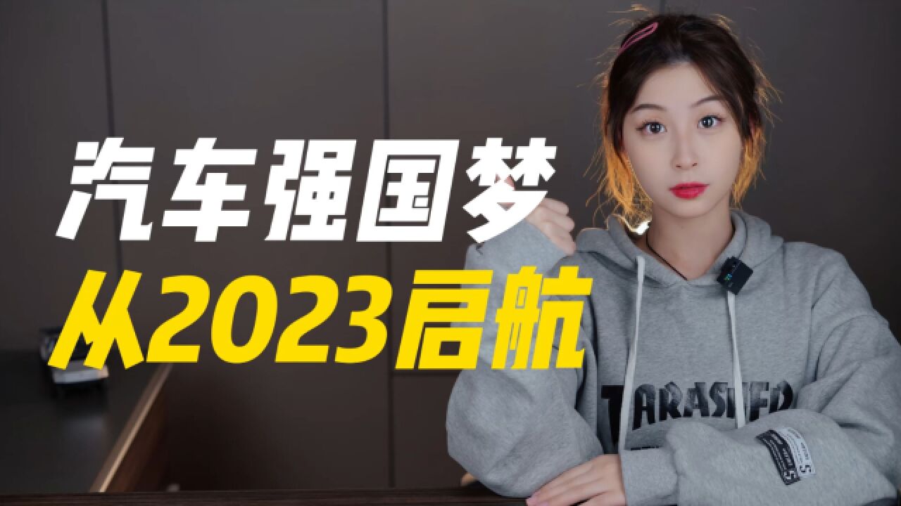 2023产业眺望:中国新能源车的天王山之战