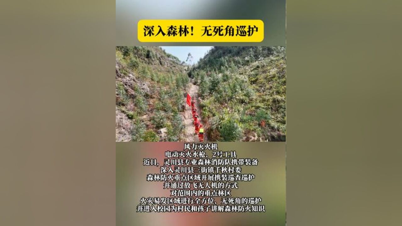 深入森林!无死角巡护