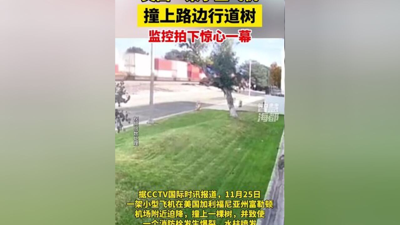 监控拍下惊心一幕!美国一架小型飞机撞上路边行道树