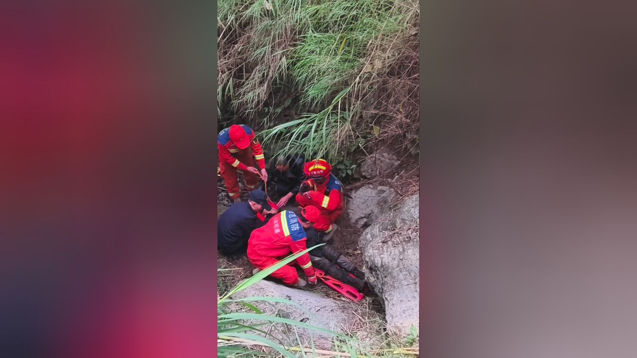 94岁老人上山砍柴跌落山沟,失联36小时家属求助,获救时意识模糊