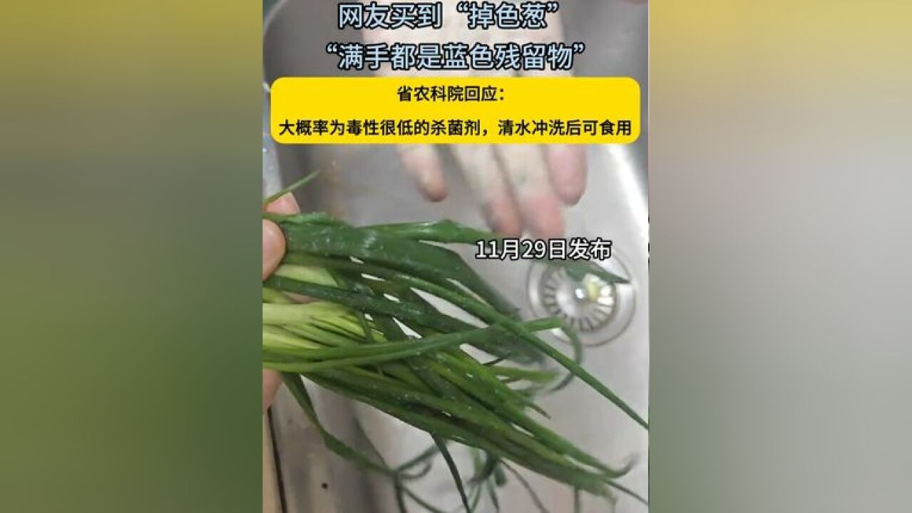 一网友买到“掉色葱”,满手都是“蓝色残留物”,相关单位回复:大概率为毒性很低的杀菌剂,只需用清水冲洗后即可食用