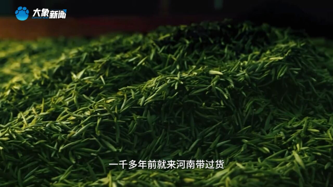 行走河南,读懂中国,了解绿茶之王的历史起源,第31届信阳茶文化节来了