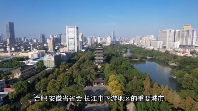 2023年13月合肥各地财政表现,肥西领跑,新站区增速第一