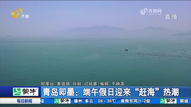 青岛即墨:小岛湾成网红打卡地,游客络绎不绝,尽享“赶海”乐趣