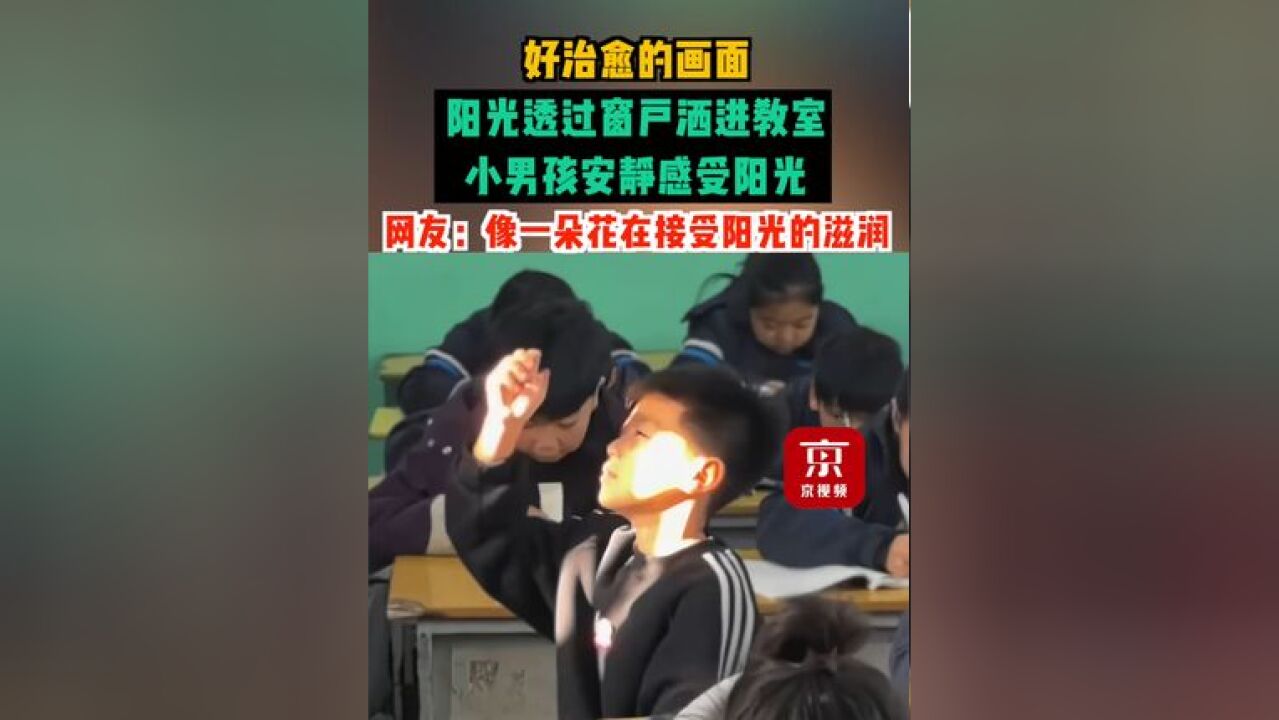 好治愈的画面!阳光透过窗户洒进教室,小男孩安静感受阳光,网友:像一朵花在接受阳光的滋润