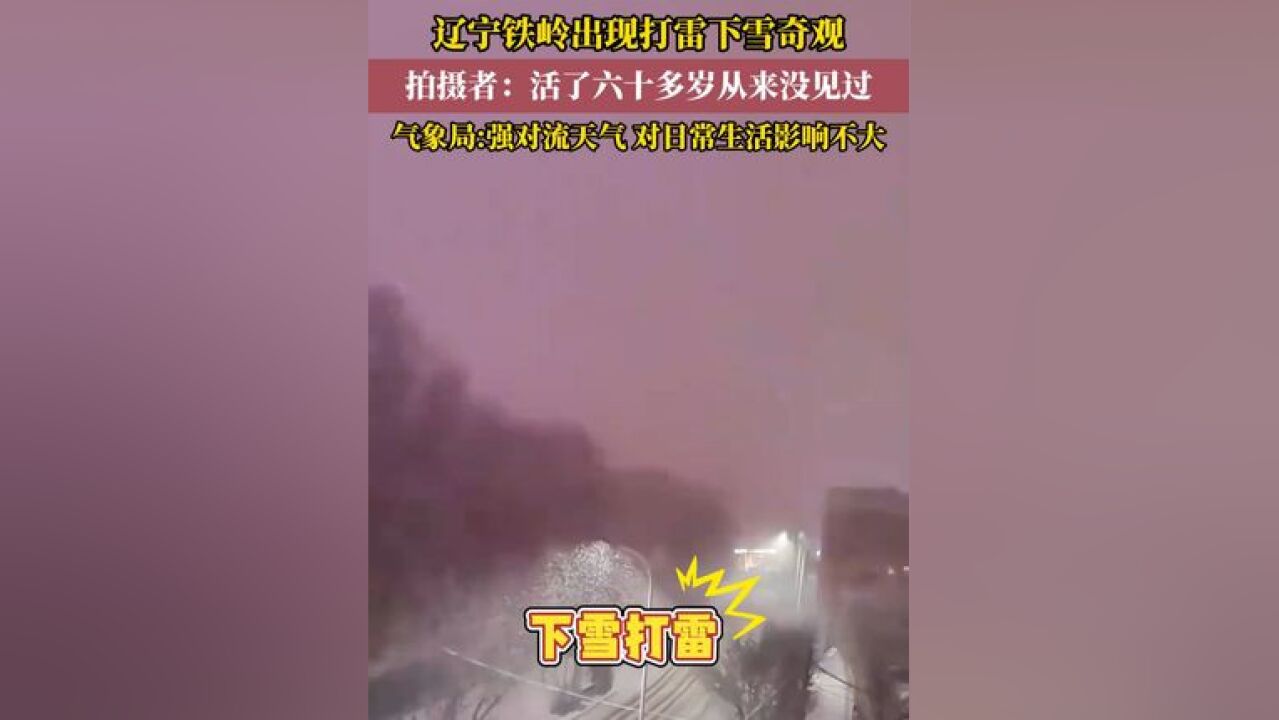 辽宁铁岭出现打雷下雪奇观