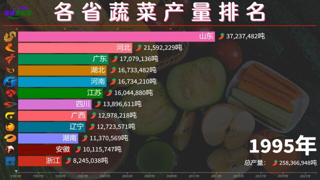 山河4省之山东,全国各省蔬菜产量排名,蔬菜之乡不是浪得虚名