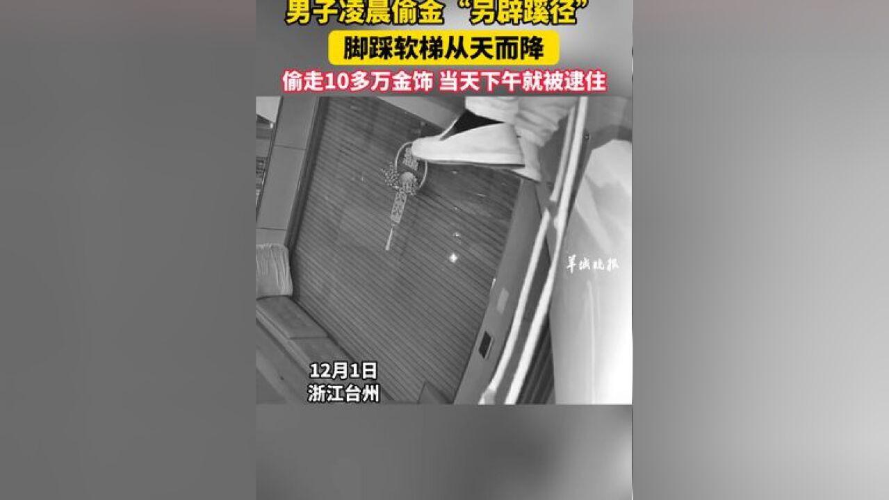 男子凌晨偷金“另辟蹊径” 脚踩软梯从天而降 偷走10多万金饰 当天下午就被逮住