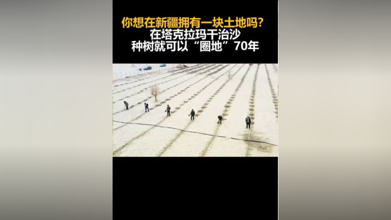 你想在新疆拥有一块土地吗?在塔克拉玛干治沙种树就可以“圈地”70年