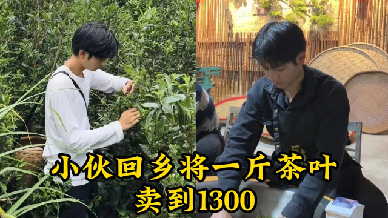 小伙回乡将一斤茶叶卖到1300