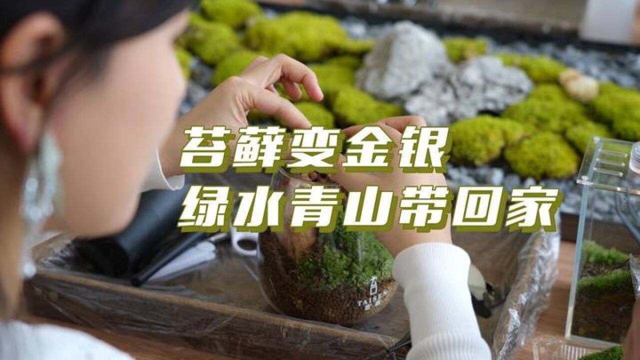 苔藓变金银!绿水青山带回家