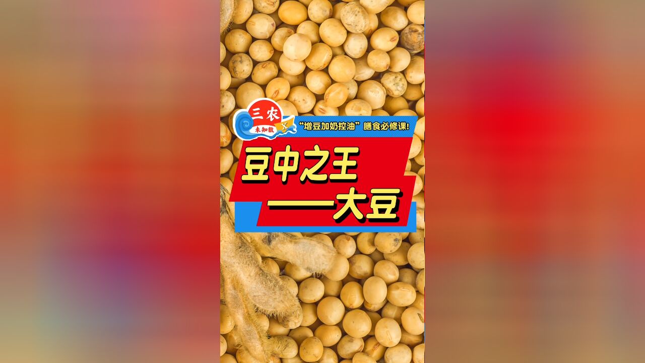 三农未知数丨豆中之王——大豆