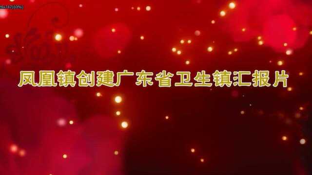 凤凰镇创建广东省卫生镇汇报片