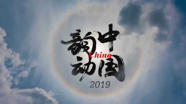 韵动中国2019