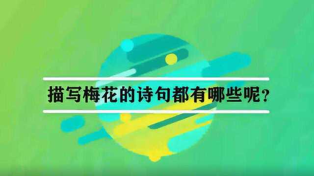 描写梅花的诗句都有哪些呢?