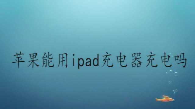 苹果能用ipad充电器充电吗