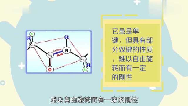 肽键是什么你们都get到了吗?有点复杂的样子