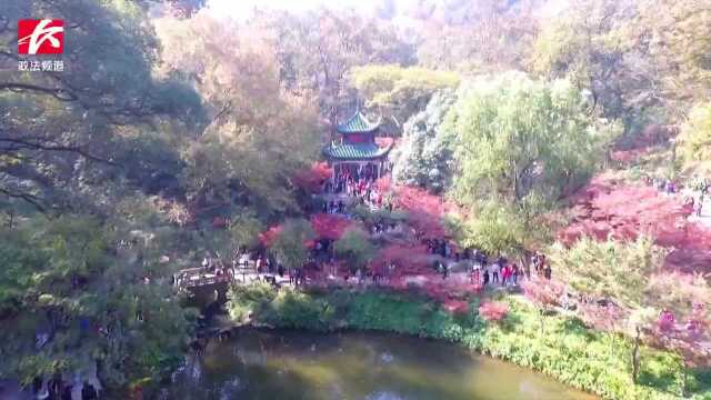 岳麓山爱晚亭:接受红色精神洗礼的“圣地”