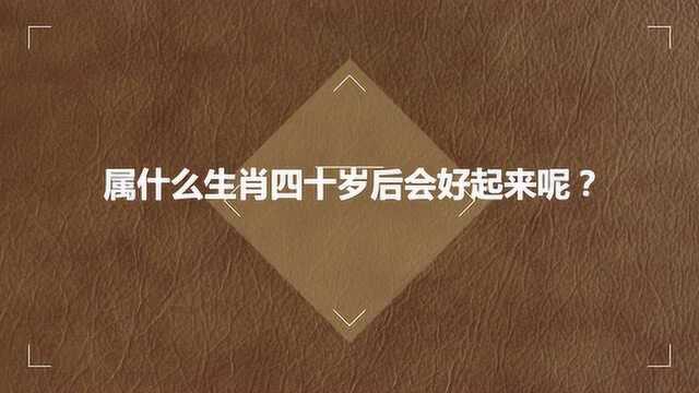 属什么生肖四十岁后会好起来呢?