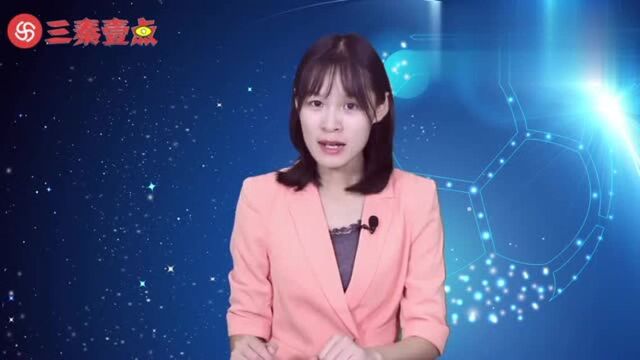 杨旭娶主持人王一婷生了三孩子?王一婷个人简介?王一婷生活花絮