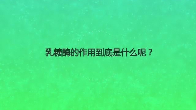 乳糖酶的作用到底是什么呢?